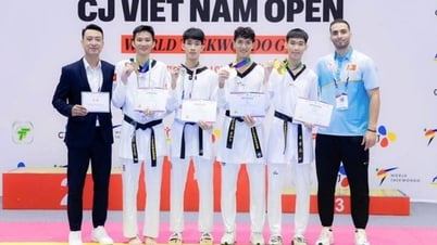 Taekwondo Việt Nam quyết tâm đạt thành tích cao nhất tại SEA Games 33