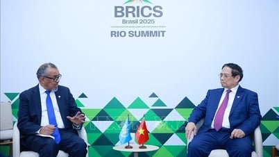El Primer Ministro se reunirá con el Director General de la Organización Mundial de la Salud
