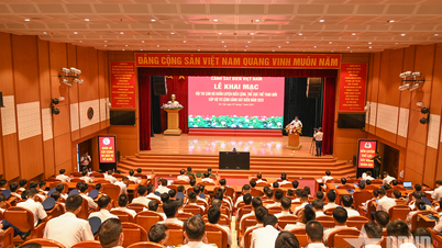 Cảnh sát biển tổ chức thi cán bộ huấn luyện điều lệnh giỏi