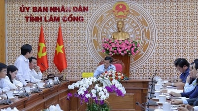 El vicepresidente del Comité Popular Provincial, Le Trong Yen, trabaja con el Departamento de Industria y Comercio.