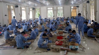 Phân định thẩm quyền phòng, chống ma túy khi tổ chức chính quyền địa phương 2 cấp