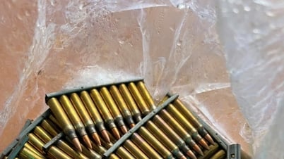 Phát hiện nhiều băng đạn tại bờ hồ Nam Phương - Phường 1 Bảo Lộc