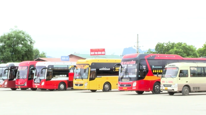 7.01% - កាសែត Cao Bang