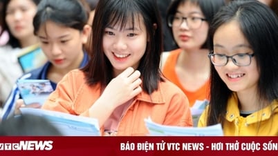 Top schools consider transcripts for Language majors in 2025