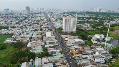 소수시: 코뿔소, 구, 특별 구역에서 기업이 프로젝트에 대한 전체 사용 권한을 허용하도록 허용합니다.