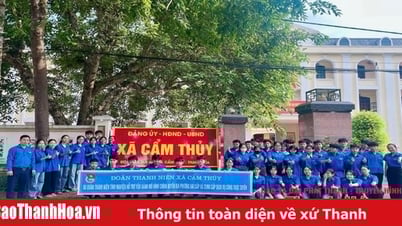 245 ភាសាអង់គ្លេស ភាសាអង់គ្លេស 2 កម្រិត