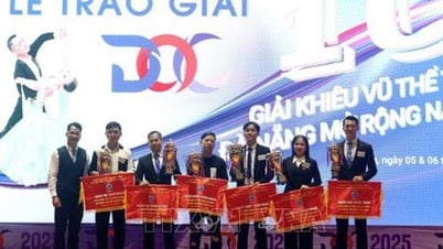يتنافس ما يقرب من 1400 رياضي في Dancesport في دا نانغ