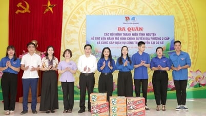 Trên 140 đội hình tình nguyện hỗ trợ người dân và chính quyền triển khai các dịch vụ hành chính công