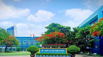 បញ្ចូលពីរទៅមុន ដាណាង