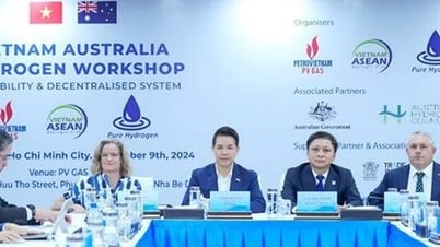 GAS FV: fuertes marcas de transformación en el período 2020-2025