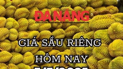 Durian price today July 7, 2025: Thai durian hits new bottom, exports accelerate
