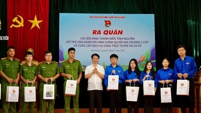 ハイフォン市青年連合が二層制地方自治体の運営を支援するボランティア活動