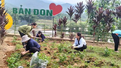 Apoya la siembra de más de 35 mil flores para desarrollar el ecoturismo