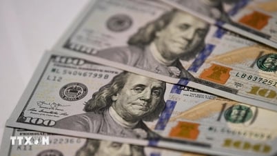 26000 دونج/دولار أمريكي