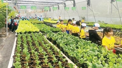 Terrenos agrícolas urbanos