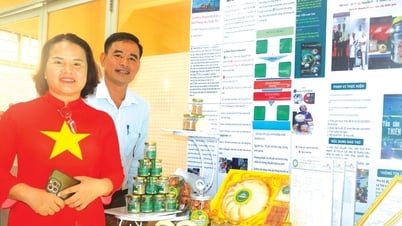 Nhờ yến sào, từ hộ kinh doanh lên doanh nghiệp
