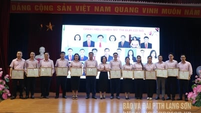 Chi nhánh Ngân hàng Chính sách xã hội tỉnh triển khai nhiệm vụ quý III