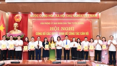 Công bố các quyết định về công tác cán bộ Văn phòng UBND tỉnh