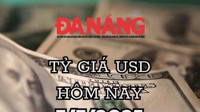 Tỷ giá USD hôm nay 7/7/2025 USD tiếp tục chìm nghỉm, Fed cắt lãi