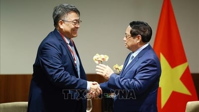 Le Premier ministre Pham Minh Chinh travaille avec les dirigeants des principaux groupes économiques du Brésil.