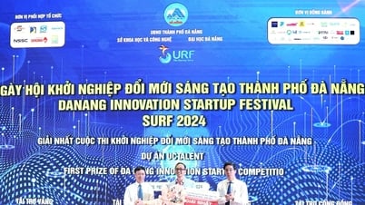 ការពង្រឹងភាពជាសហគនពីក្រុម SURF