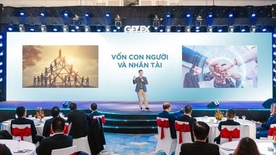 GELEX met en œuvre un projet de culture d'entreprise