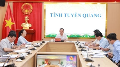 Chính phủ họp trực tuyến với các địa phương về giao chủ quản đầu tư các tuyến đường bộ cao tốc