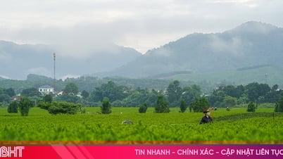 ភាសាអង់គ្លេស