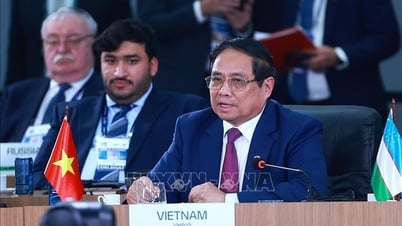 Prime Minister speaks at the High-Level Discussion of the Expanded BRICS Summit 2025