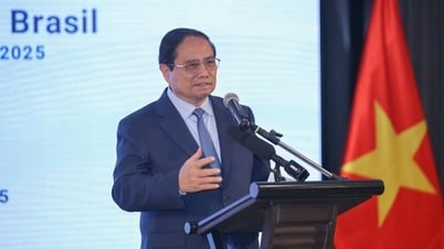 Doanh nghiệp Việt Nam-Brazil cần tăng cường hợp tác, kết nối hai nền kinh tế
