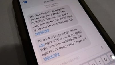 Tiền điện, giá thực phẩm leo thang đẩy CPI quý II tăng 3,31%