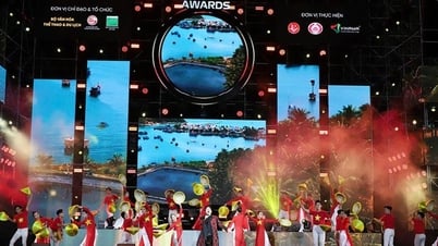 تصنيف مسابقة "جوائز فيتنام 2025