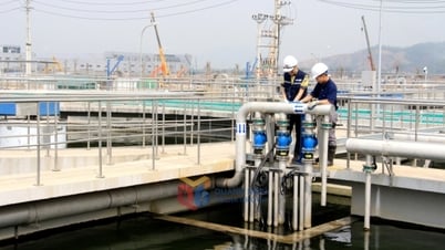 Siết chặt quản lý, xử lý vi phạm về môi trường