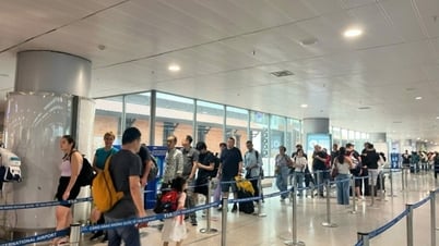 Цены на авиабилеты летом 2025 года все еще будут дешевые билеты
