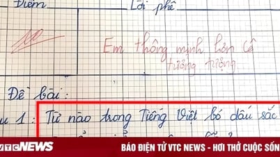 Từ nào trong Tiếng Việt bỏ dấu sắc vẫn giữ nguyên nghĩa?