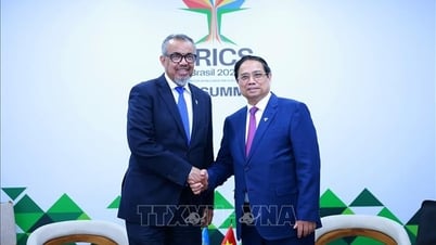 El primer ministro Pham Minh Chinh recibe al Director General de la OMS
