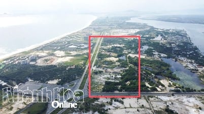 Aprobación de la política de inversión para el Proyecto del Área Urbana Mixta de Cam Lam