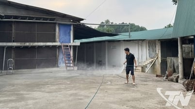 Garantizar la seguridad sanitaria: una dirección sostenible para el desarrollo ganadero