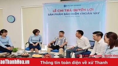 عملاء VBI Thanh Hoa وعلي