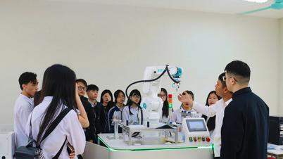 La Universidad Thanh Dong otorga becas al sector de Tecnología e Ingeniería
