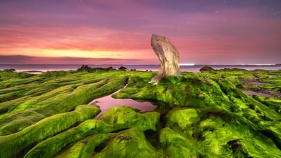 Viên ngọc sinh thái biển Lâm Đồng: 'Cô gái đẹp ngủ quên' chưa được đánh thức