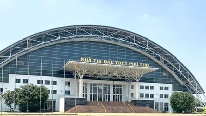 Nuevas oportunidades para los deportes en Ciudad Ho Chi Minh