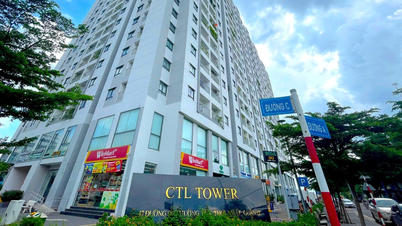 Thêm một dự án hàng trăm căn hộ ở TP.HCM được gỡ vướng cấp sổ hồng