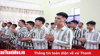 Pelaksanaan Keputusan tentang putaran kedua amnesti pada tahun 2025.