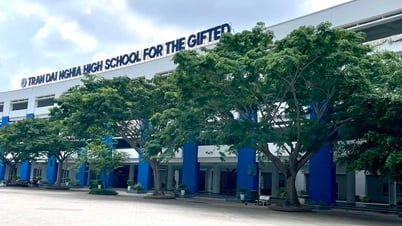 Tras la fusión, Ciudad Ho Chi Minh solo cuenta con cuatro escuelas secundarias especializadas. ¿Qué lápiz labial?