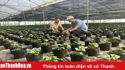 “การเก็บเกี่ยวและทางการเกษตร