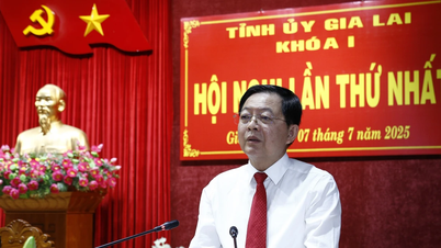 Phải làm việc với tinh thần trách nhiệm cao nhất, đóng góp cho sự phát triển của tỉnh