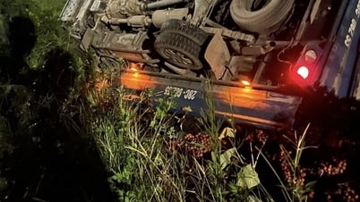 交通事故後の「布地犯罪事件」に関する素晴らしい情報
