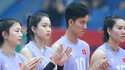왜 빅 투옌과 탄 투이는 대회에 참가하지 않았나요?