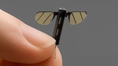 Chuyên gia quân sự lên tiếng về drone nhỏ ‘bằng con muỗi’ của Trung Quốc